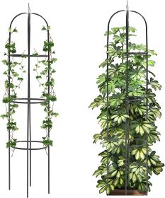 Metal Obelisk Trellis,Adjustable Heights Garden Trellis,Plant Assistant for Cucumbers,Rose,Tomato,Vines,Vegetables Trellis Cage